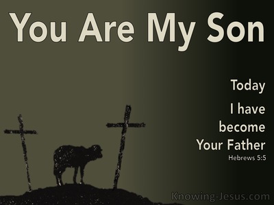 Hebrews 5:5 You Are My Son Today I Become Your Father (sage)